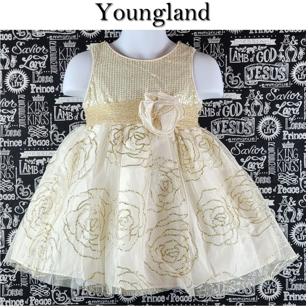 Youngland Sparkly Sequins Holiday Dress Size 2T